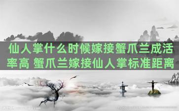 仙人掌什么时候嫁接蟹爪兰成活率高 蟹爪兰嫁接仙人掌标准距离